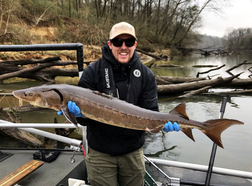 Get outside GA Collin George